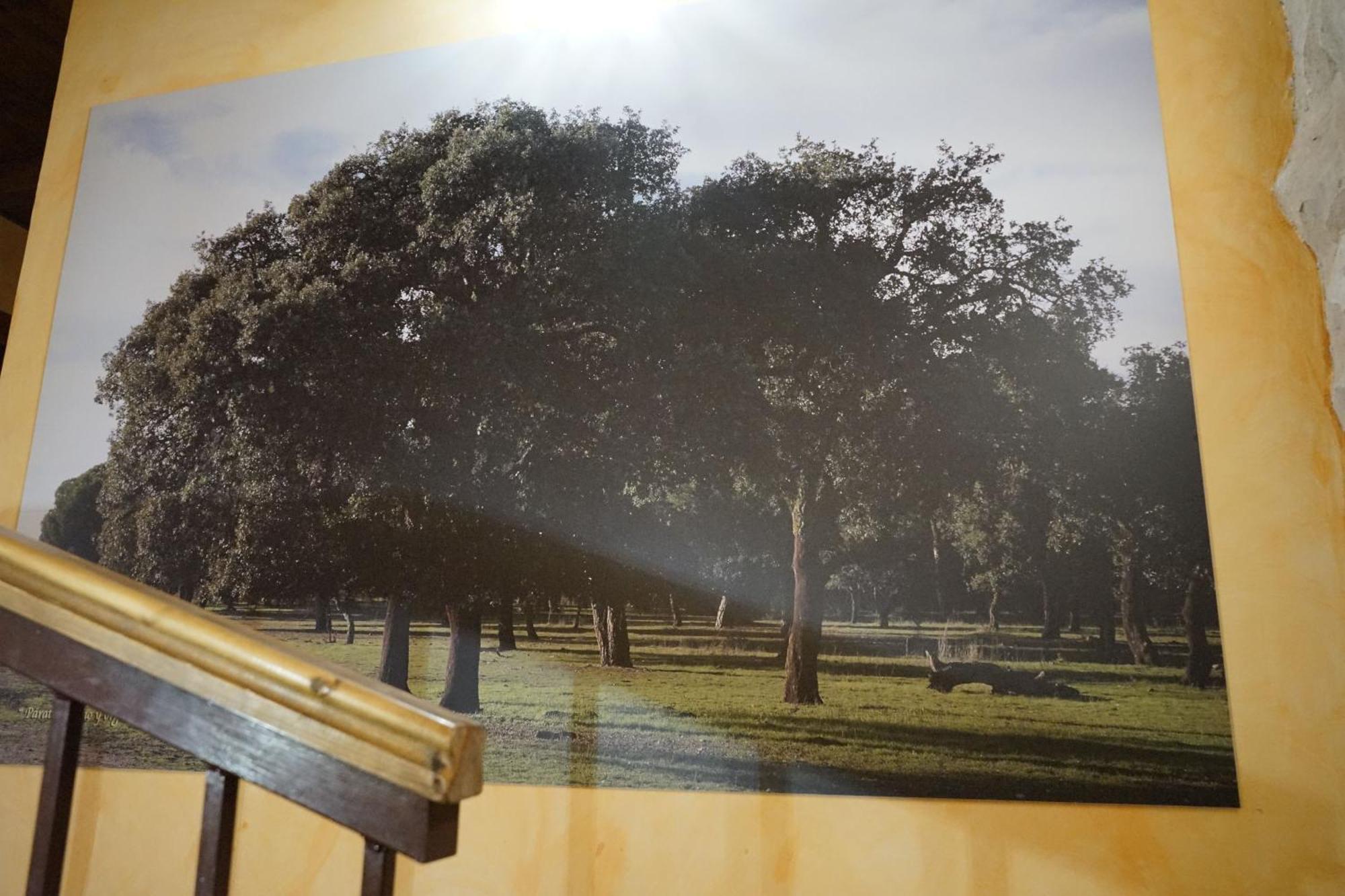 Casa Rural La Abuela Marcelina Foncastin ภายนอก รูปภาพ